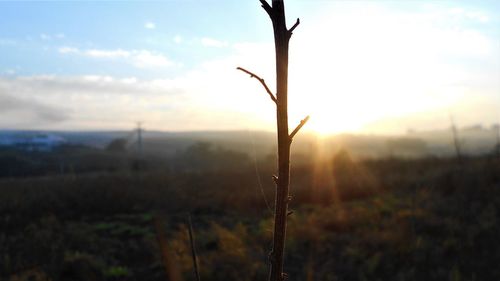 Scenic view of field against sky during sunset
