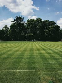 Trees on field against sky