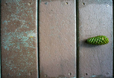 Full frame shot of green wall