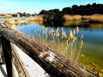 Scenic view of lake against sky