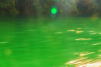 Scenic view of lake