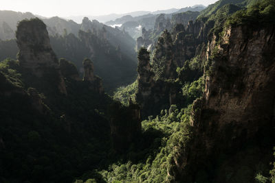 Panoramic view of trees and mountains