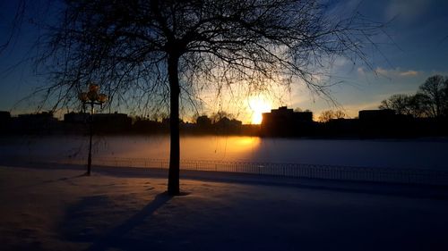 Silhouette trees on snow covered landscape against sky during sunset