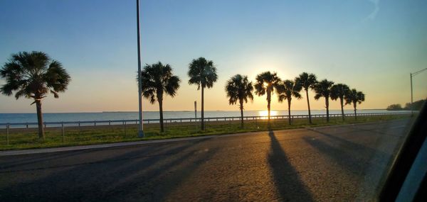 Palm trees by road against sky during sunset