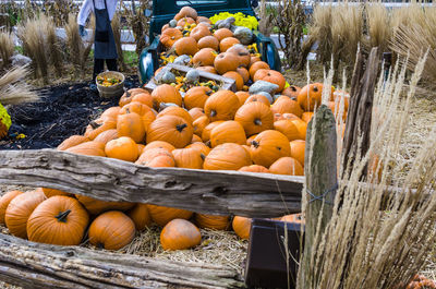 Stack of pumpkins for sale at market