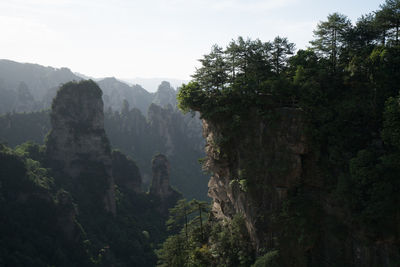 Panoramic view of trees and mountains against sky