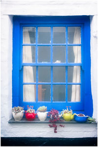 Close-up of blue window