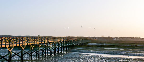 Birds flying over lake against clear sky