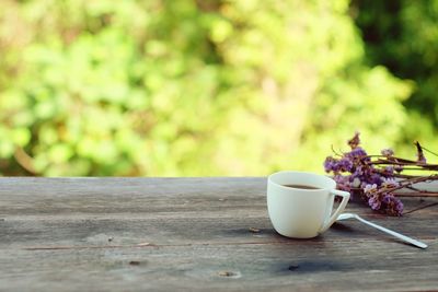 Close-up of purple flower on table