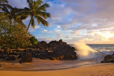 Scenic view of beach against sky during sunset