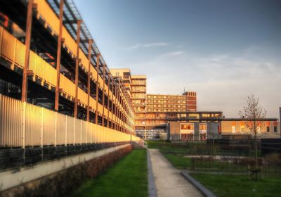 Buildings in city