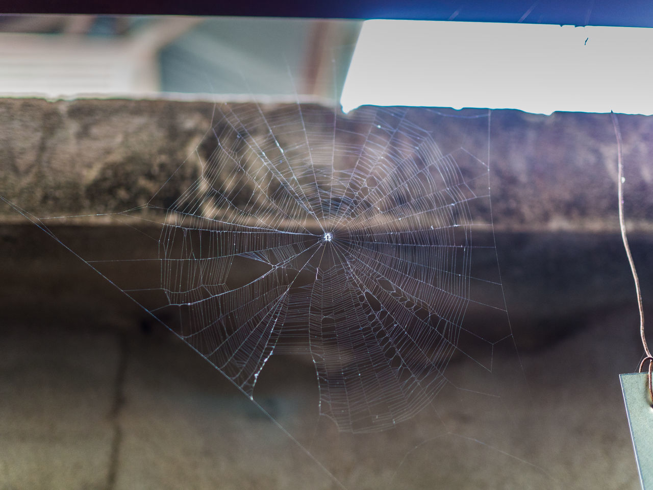 CLOSE-UP OF SPIDER WEB AGAINST THE SKY