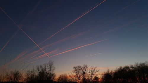 Low angle view of trees against sky