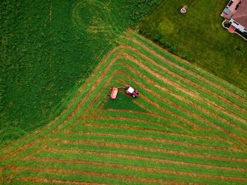 High angle view of agricultural field