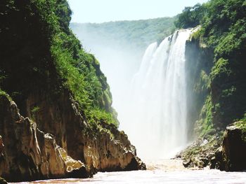 Scenic view of waterfall in forest