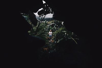 People by illuminated tree against mountain