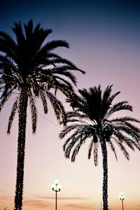 Low angle view of palm trees against clear sky