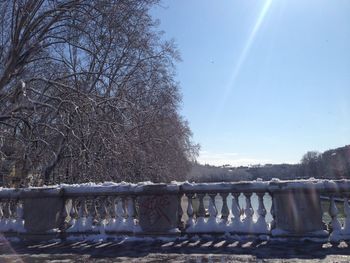 Bare trees against clear sky