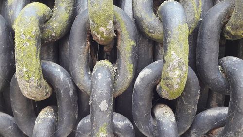 Close-up of rusty metal