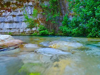 Water flowing through rocks in forest