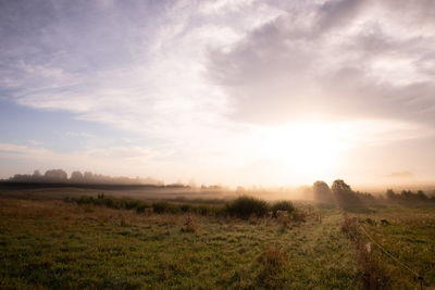 Scenic view of field against sky during sunset