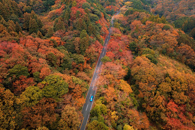 Aerial view of road amidst trees in forest during autumn