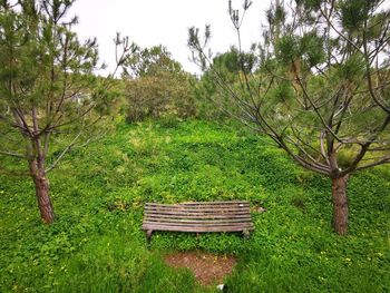 Bench in park against sky