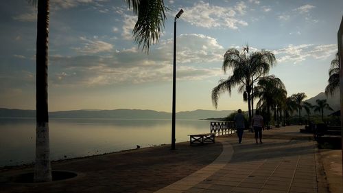 Palm trees by sea against sky