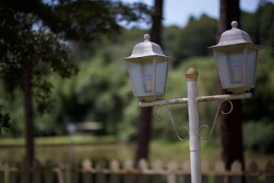 Close-up of street light against trees