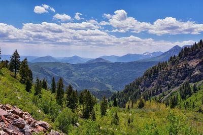 mountain