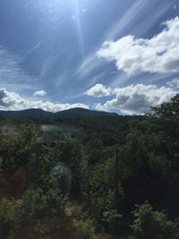 Scenic view of forest against sky