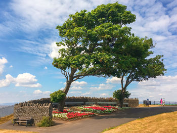 Trees by plants against sky