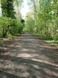 Empty road along trees in forest