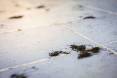 High angle view of water on floor