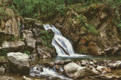 Scenic view of waterfall in forest