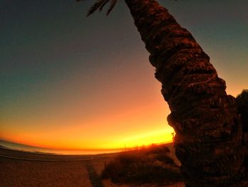 Silhouette of beach during sunset
