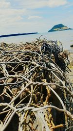 Close-up of fishing net on beach against sky