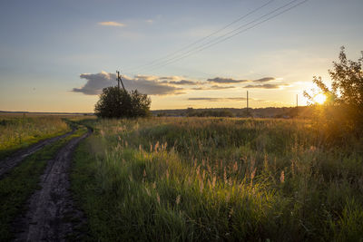 Scenic view of field against sky during sunset