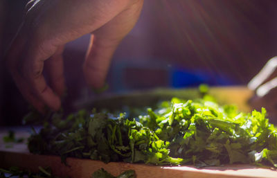 Cropped hand of woman preparing food