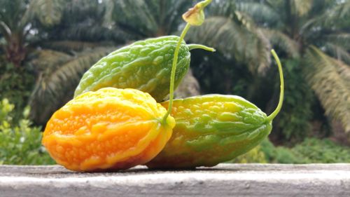 Close-up of orange fruit