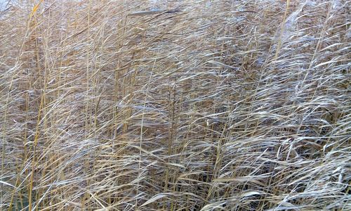 Full frame shot of white background