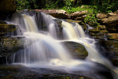 beauty in nature