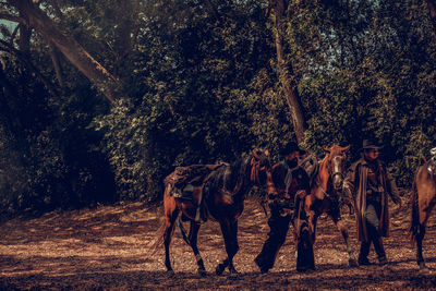 Men wearing hat standing with horse at forest