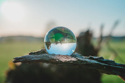 Close-up of crystal ball on glass