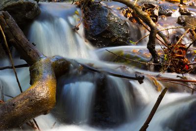 Close-up of waterfall in forest