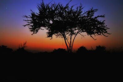 Silhouette tree against sky during sunset