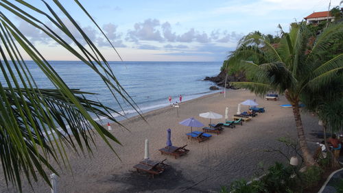 High angle view of palm trees on beach against sky