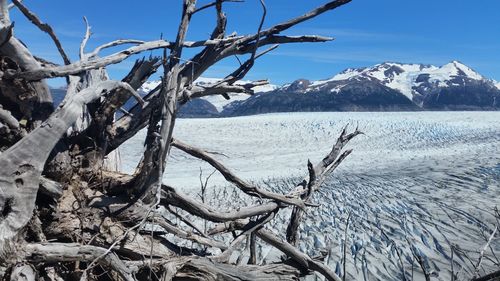 Scenic view of snowcapped mountains