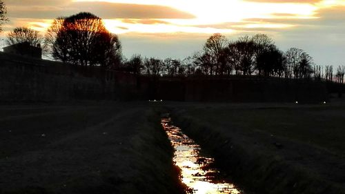 Silhouette trees on landscape against sky at sunset