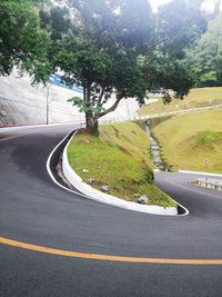 High angle view of road amidst trees